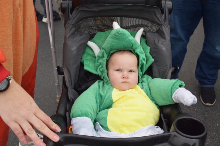 Baby in dinasour costume